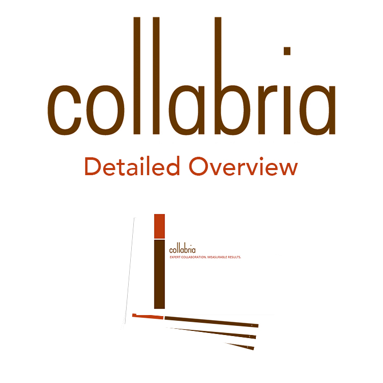 Detailed Overview preview